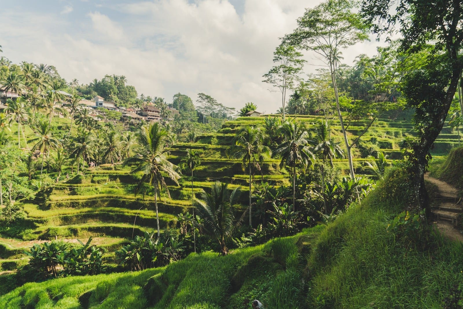 The Magic of Bali: Temples, Beaches, and Rich Cultural Traditions
